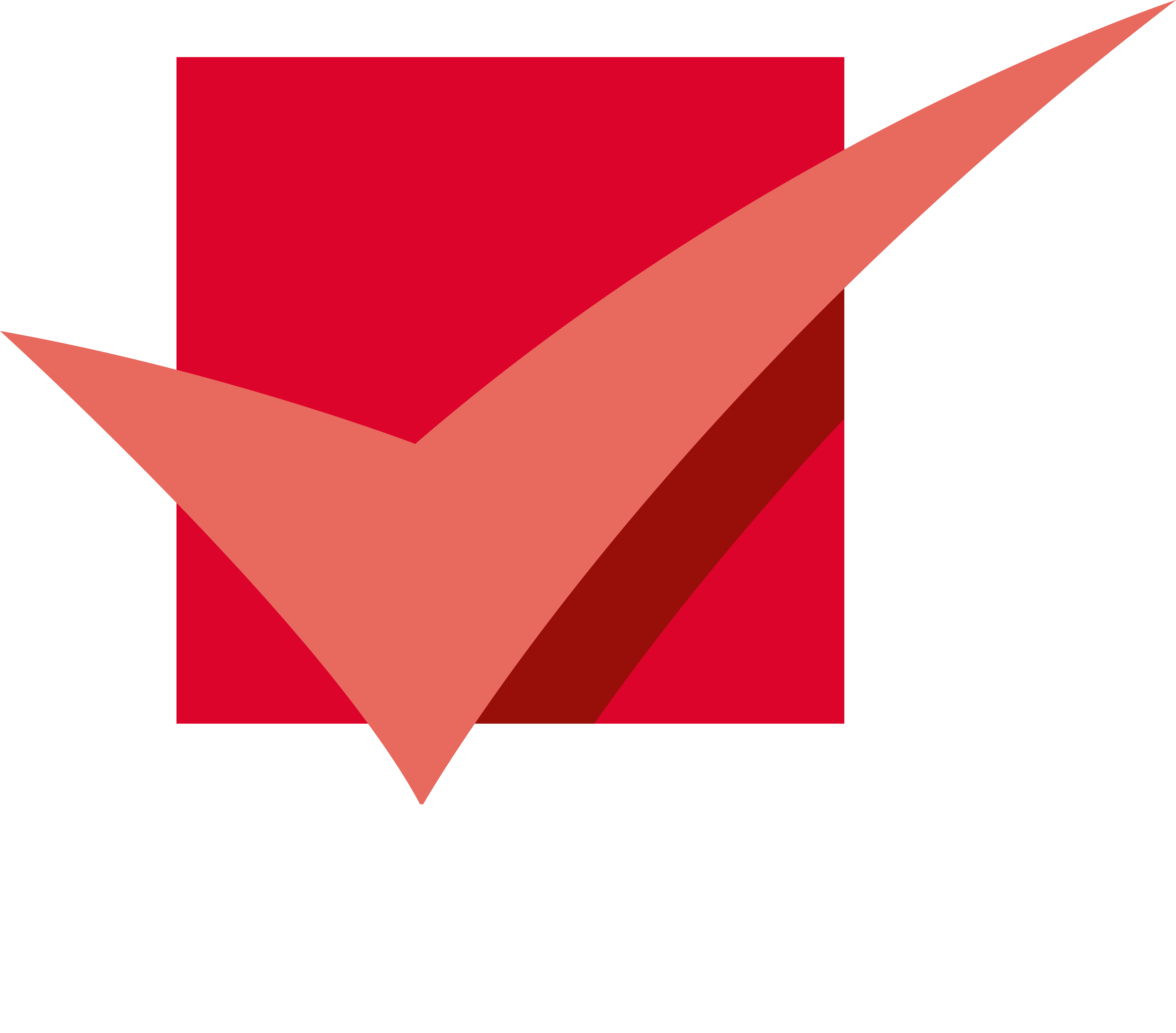 FIDI Logo